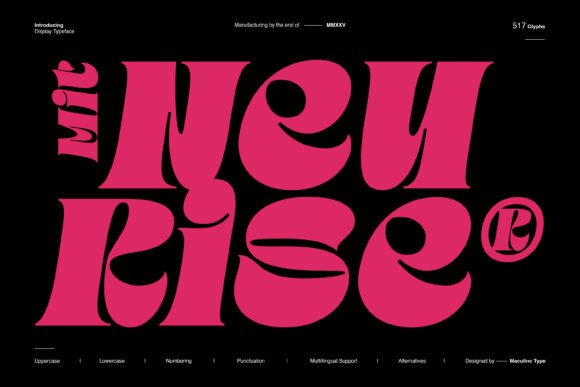 Mit Neurise Font for Web Design