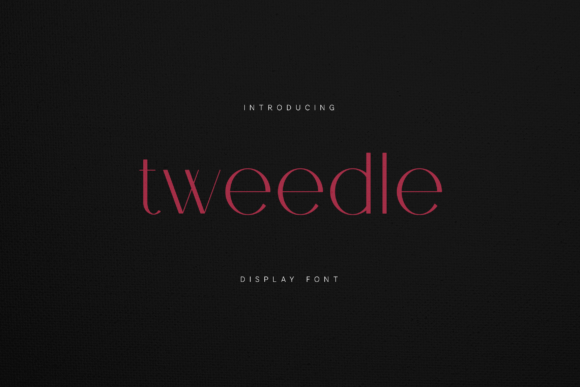 Tweedle Display: A Modern Serif Font for Makers and Designers